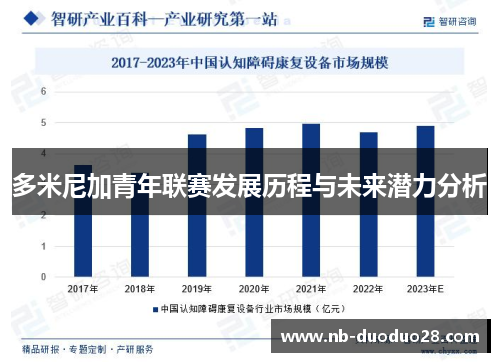多米尼加青年联赛发展历程与未来潜力分析