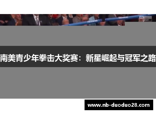 南美青少年拳击大奖赛：新星崛起与冠军之路