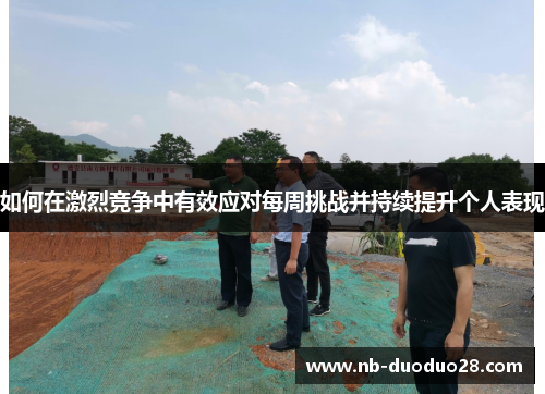 如何在激烈竞争中有效应对每周挑战并持续提升个人表现