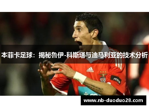 本菲卡足球：揭秘鲁伊-科斯塔与迪马利亚的技术分析