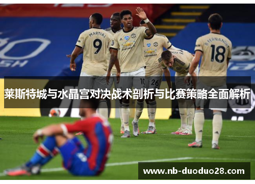 莱斯特城与水晶宫对决战术剖析与比赛策略全面解析