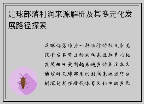 足球部落利润来源解析及其多元化发展路径探索 足球部落利润来源解析及其多元化发展路径探索