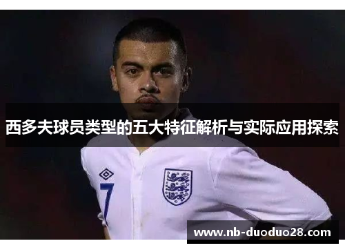 西多夫球员类型的五大特征解析与实际应用探索 西多夫球员类型的五大特征解析与实际应用探索