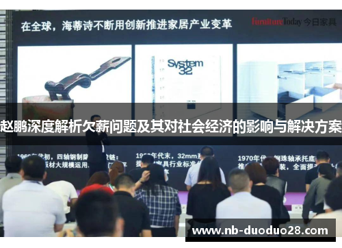 赵鹏深度解析欠薪问题及其对社会经济的影响与解决方案