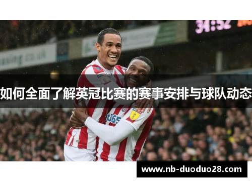 如何全面了解英冠比赛的赛事安排与球队动态