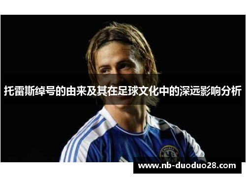 托雷斯绰号的由来及其在足球文化中的深远影响分析