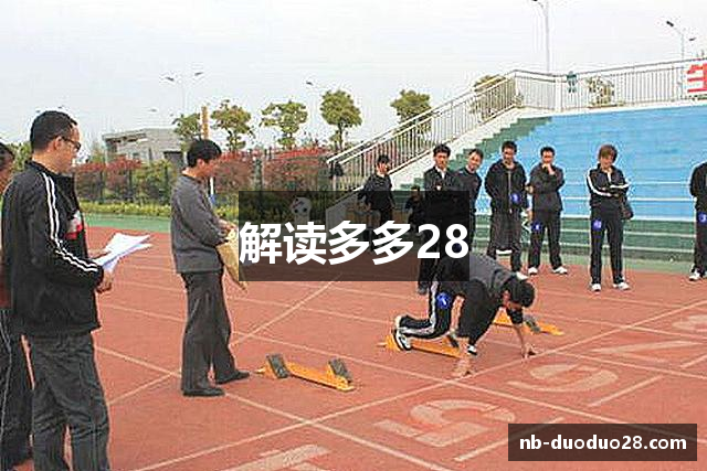 解读多多28
